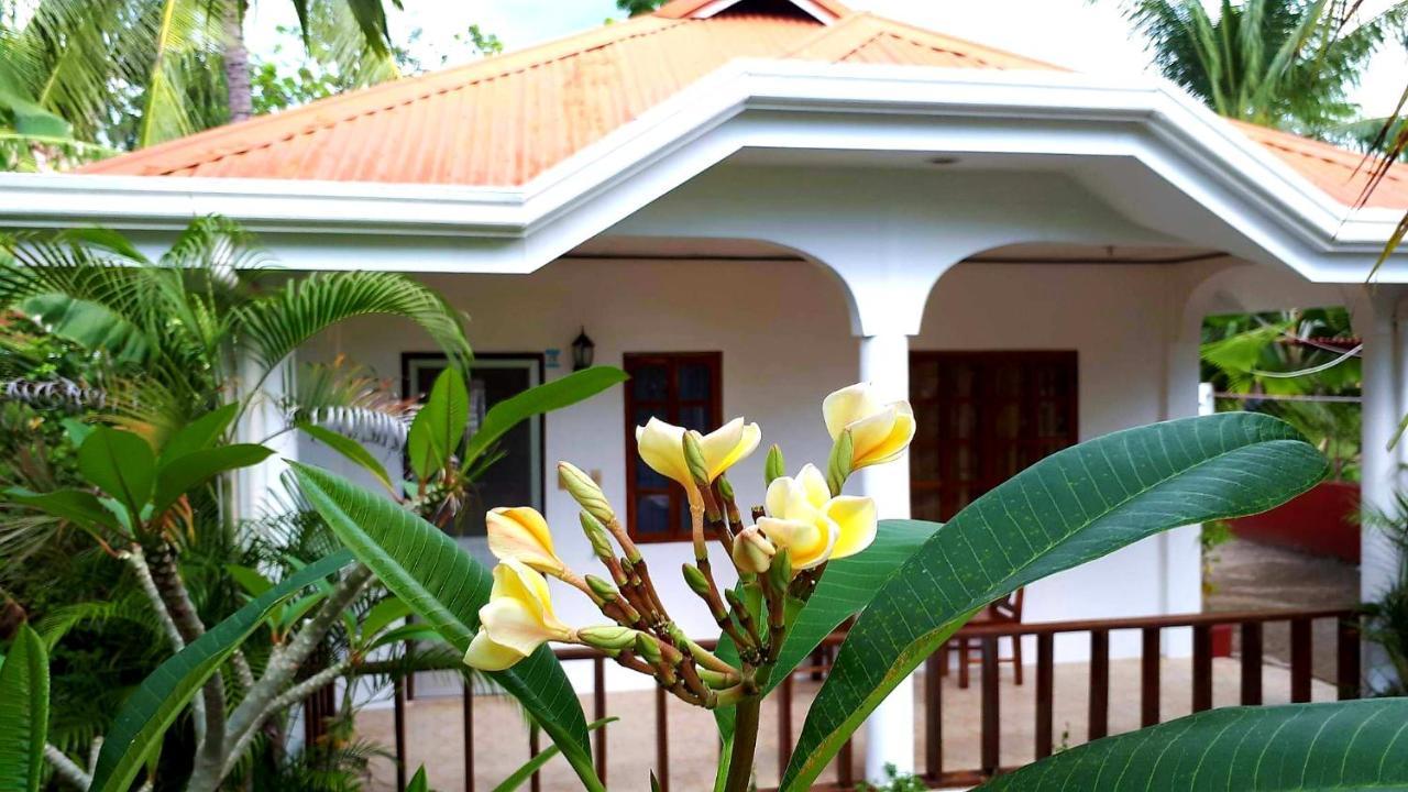 Palmera Palma Private 1-Br Bungalow In Moalboal Exteriör bild